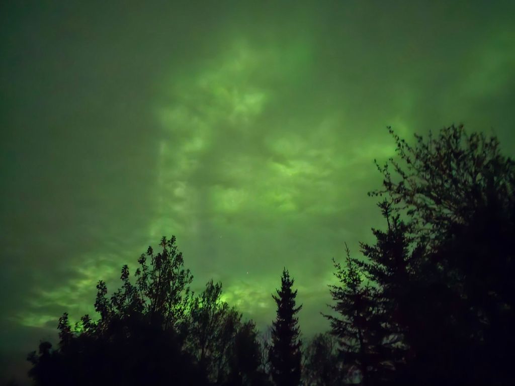 Zum Abschluss nochmal Nordlichter 😍
