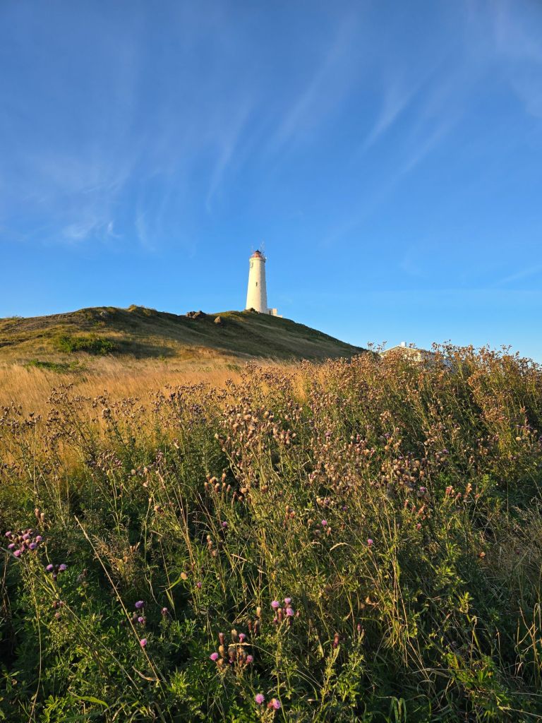 Der schöne Reykjanesviti