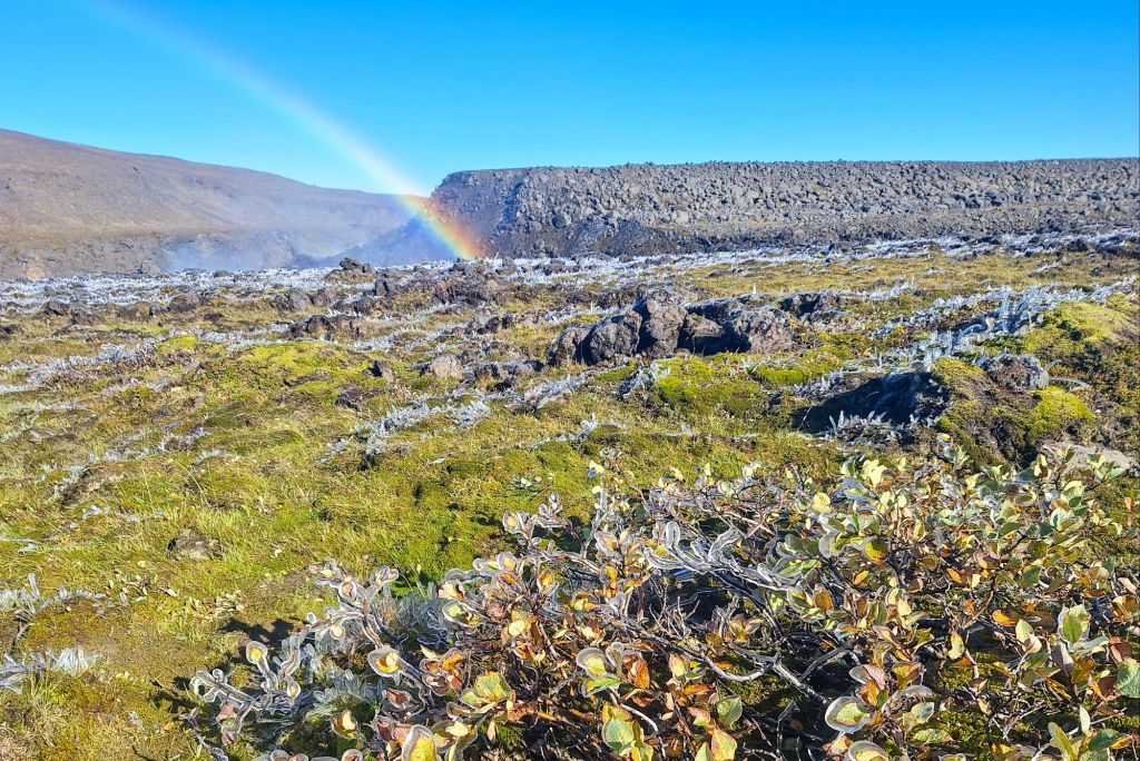 Mit Regenbogen 😍