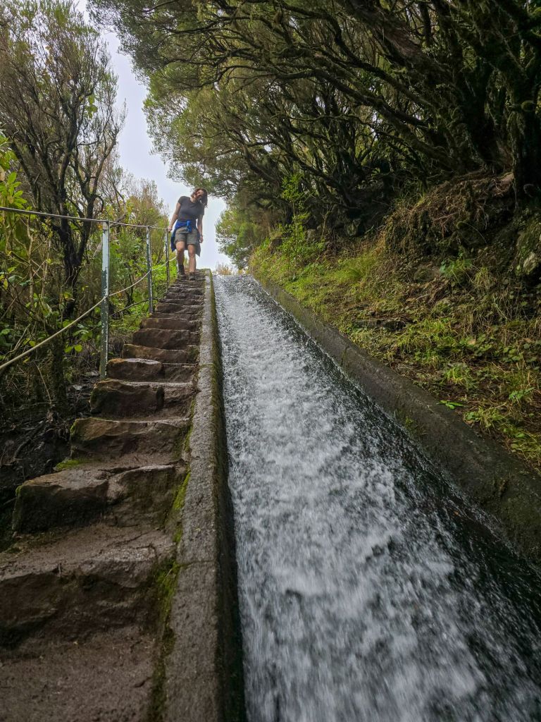 Immer an der Levada entlang