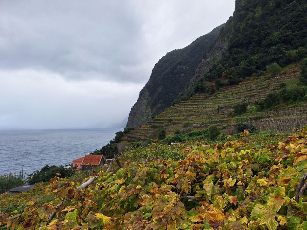 Weinberge gibts hier auch!