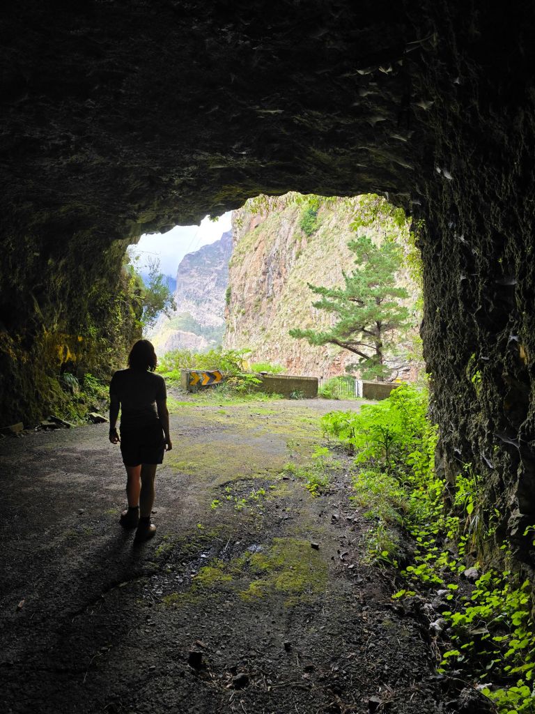 Die Tunnel sind einfach auch immer schön