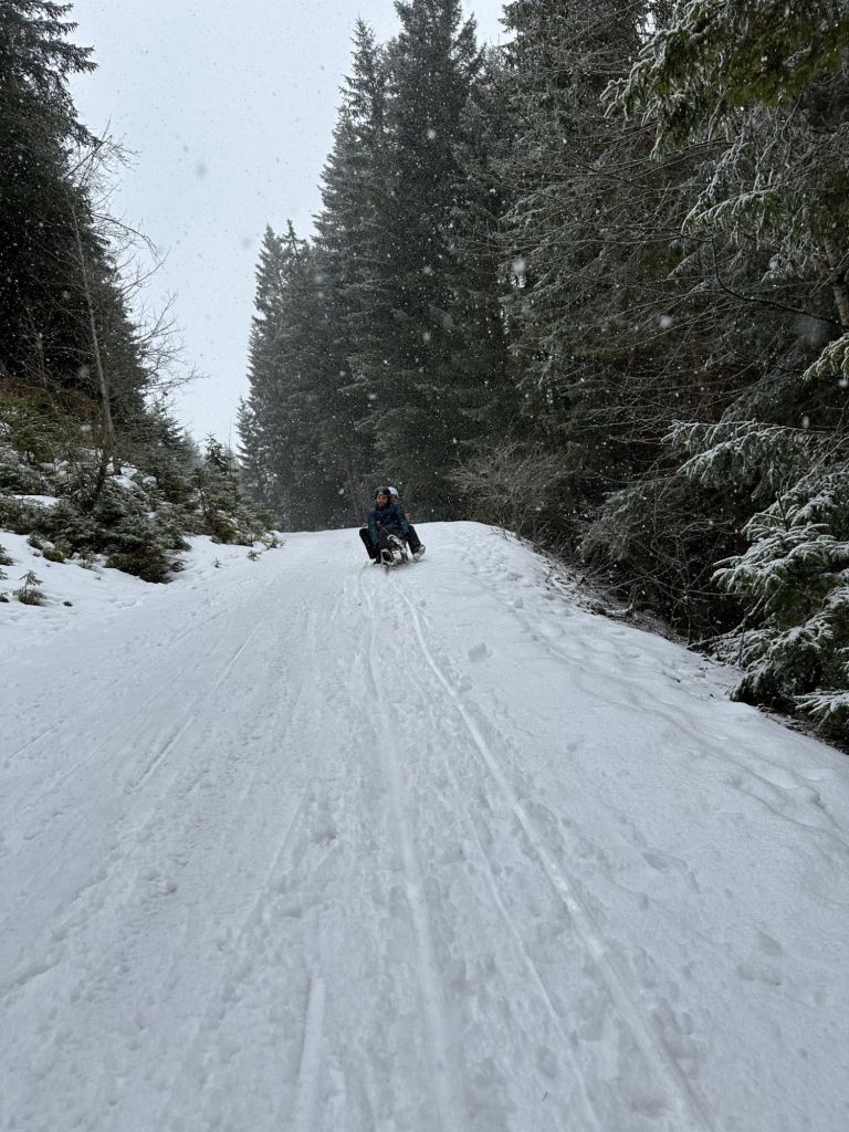 Ich hab natürlich auch mal gesteuert!
