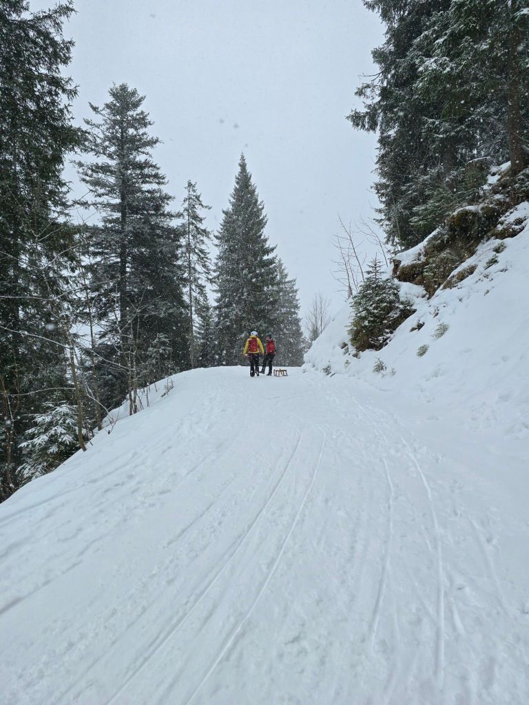 Ein herrlicher Winterspaziergang
