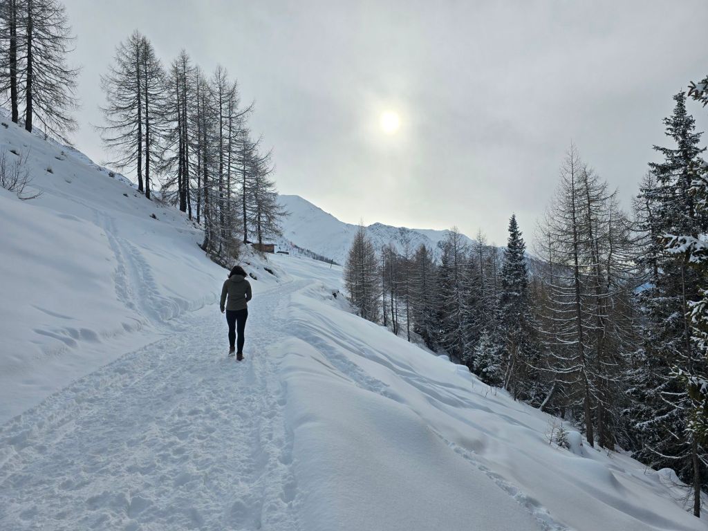 Da ist schon die Alm