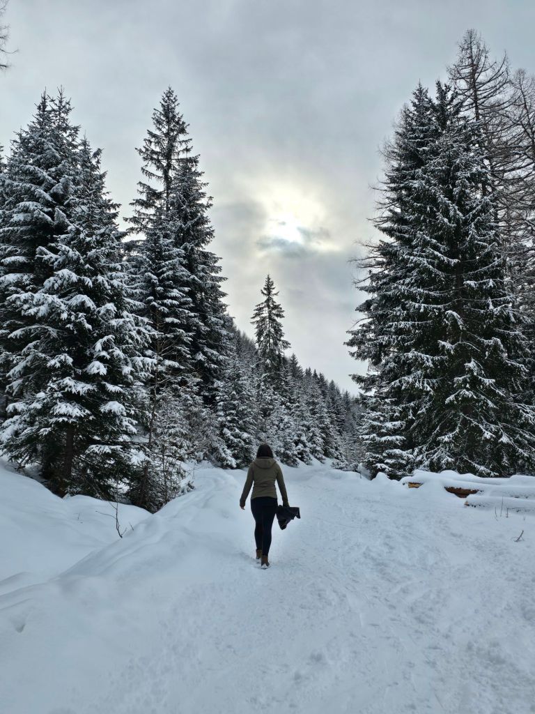 Die Sonne kämpft