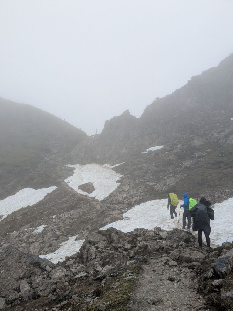 Schneefelder wurden auch überquert