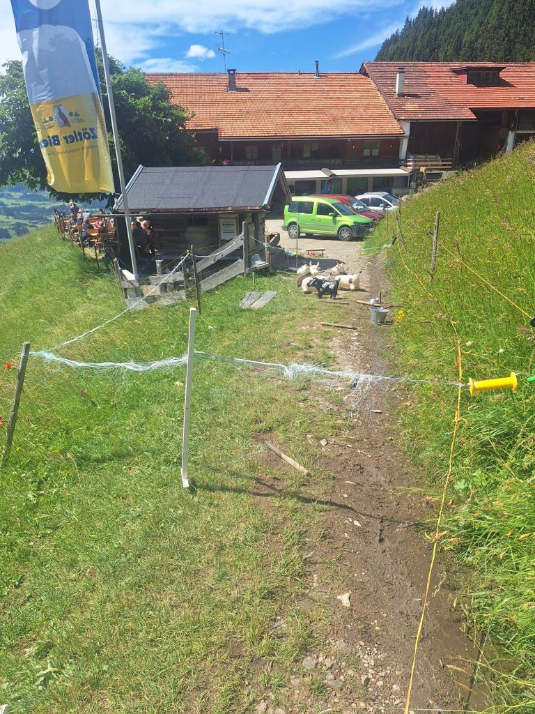 Die süßeste Kuhweide unserer Route